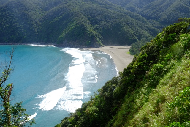 抗議文・声明書		2019年9月13日　奄美・嘉徳浜「自然の権利」訴訟弁護団は、IUCNに世界遺産登録候補地の調査に関する要望書を提出しました。